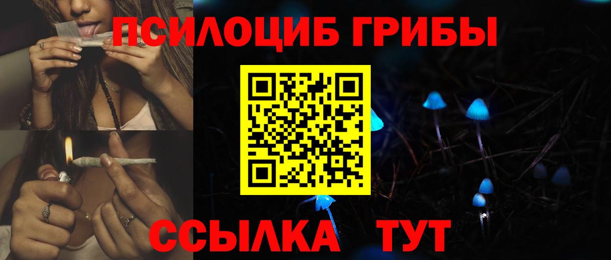 Усть-Илимск  Галлюциногенные грибы прущие грибы  Вход с VPN 