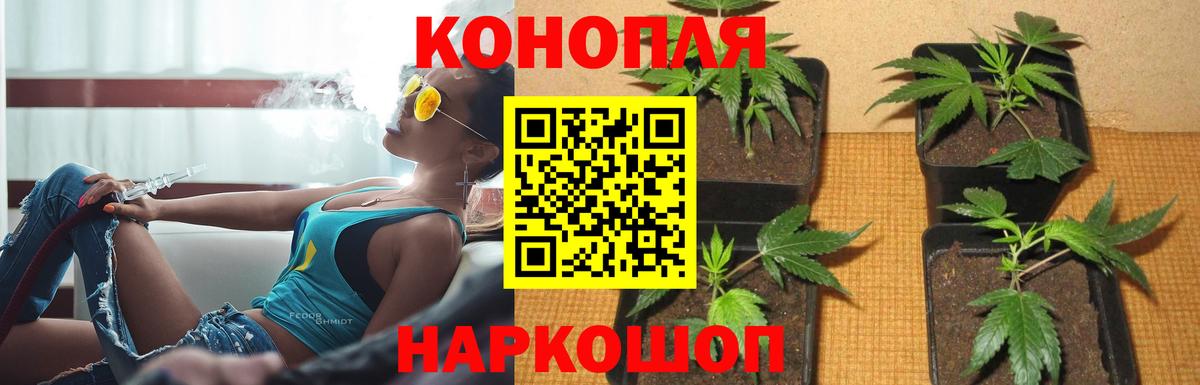 Бошки Шишки THC 21% Усть-Илимск